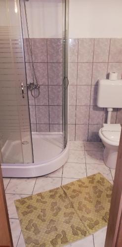 a bathroom with a shower and a toilet at Cabana Moieciu in Moieciu de Sus