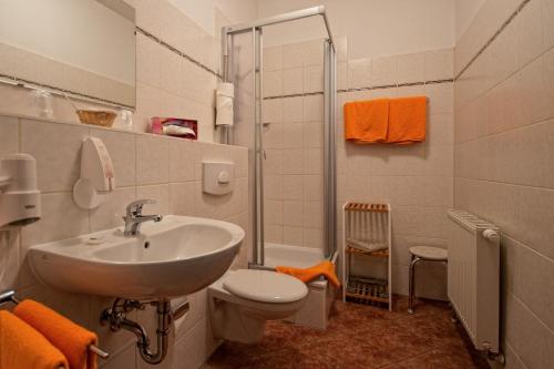 a bathroom with a sink and a toilet and a shower at Hotel zur Henne in Naumburg