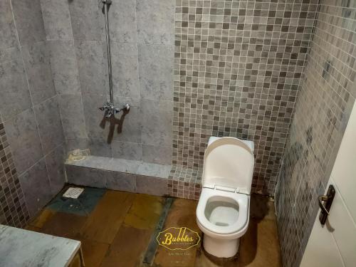 a bathroom with a toilet and a shower at Bubbles Lodge Kinangop in South Kinangop