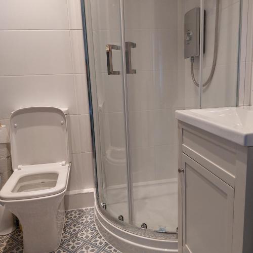 a bathroom with a shower and a toilet and a sink at Foxglove Cottage in Clearwell