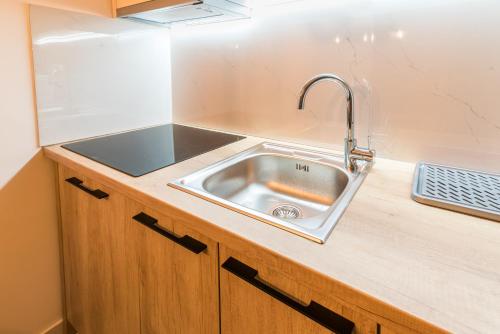 a kitchen with a stainless steel sink in a counter at Daisy resort in Novi Sad