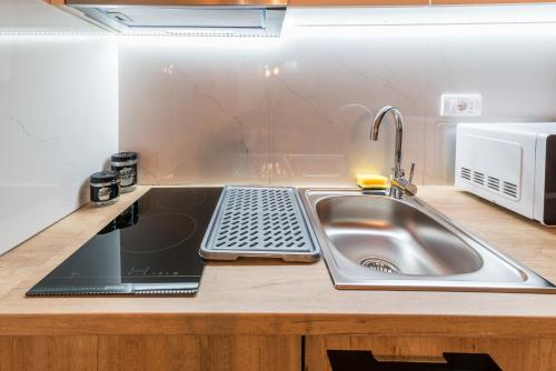 a kitchen with a sink and a laptop on a counter at Daisy resort in Novi Sad