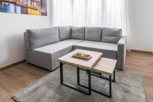 a living room with a couch and a coffee table at Daisy resort in Novi Sad
