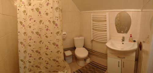 a small bathroom with a toilet and a sink at "Відпочинок в Карпатах" in Izki