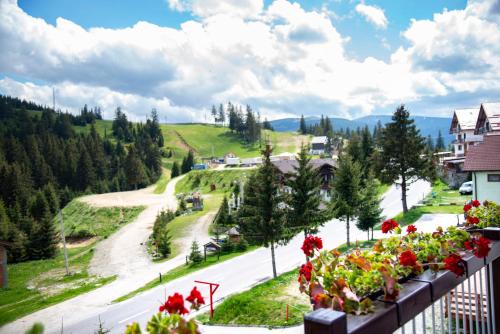 a view from a balcony with flowers on a road at Pensiune Rara Paltinis in Păltiniş