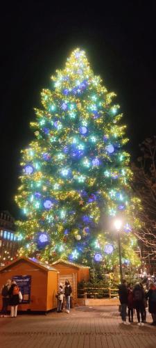 a large christmas tree with people standing in front of it at Au coeur de l'Alsace in Eschau