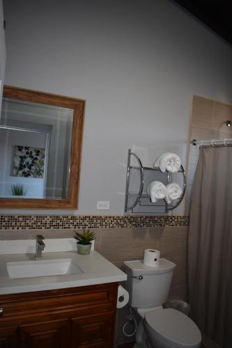 a bathroom with a sink and a toilet and a mirror at Viñas del Castillo in Ensenada