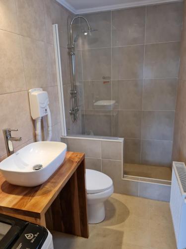 a bathroom with a sink and a toilet and a shower at Alto Balmaceda in Puerto Natales