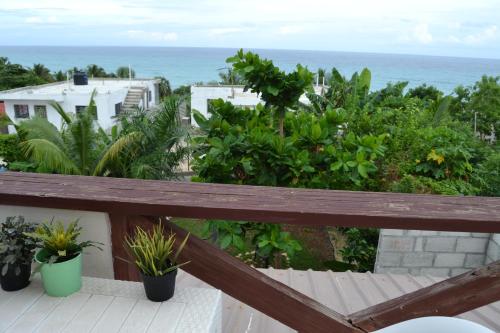a balcony with plants and the ocean in the background at ECOVILLA CORAL GARDEN in Baoruco