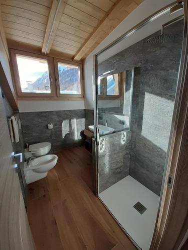 een badkamer met een douche, een toilet en een wastafel bij Appartamenti Florin in Livigno