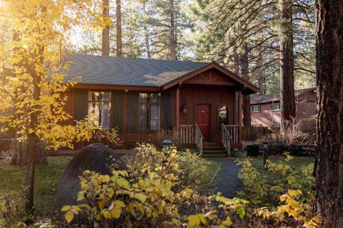 a small house in the woods with a tree at Black Bear Lodge in South Lake Tahoe