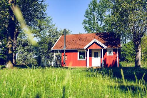 a small red house in a field of tall grass at Regenbogen Boltenhagen in Boltenhagen