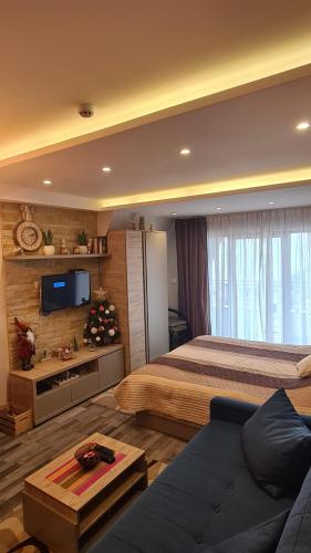 a bedroom with a bed and a couch and a tv at Ogi & Una Premijer 42 in Kopaonik