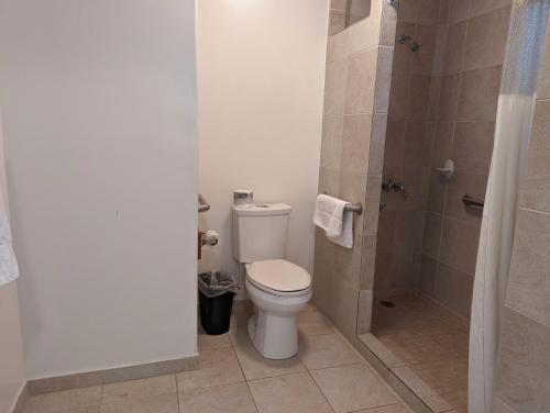 a bathroom with a toilet and a shower at Americas Best Value Inn Oxnard-Port Hueneme in Port Hueneme
