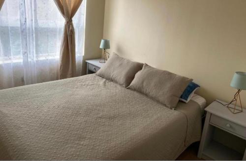 1 dormitorio con 1 cama con 2 almohadas y ventana en Departamento - Place - king Home - Factura - Central - Empresas en Chillán