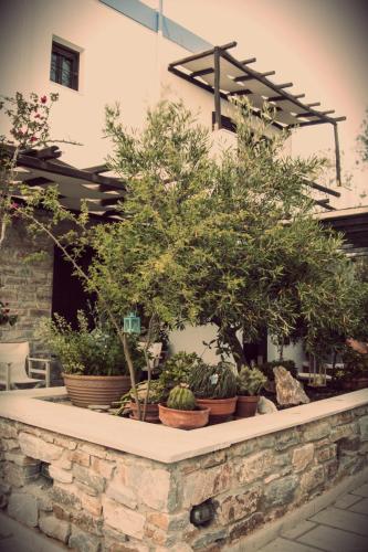 a row of potted plants on a stone wall at Anemologio in Finikas