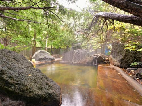 a small pool of water with rocks and trees at Hotel Parkway in Teshikaga