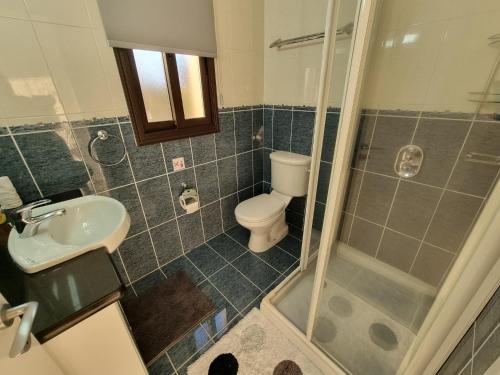 a bathroom with a toilet and a sink and a shower at Villa Phoenix in Secret Valley in Paphos City