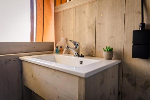 Glamping Lodge Waddenzee – Billeder 3
