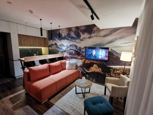 Телевизор и/или развлекательный центр в Apartmani TIM Ariš Resort