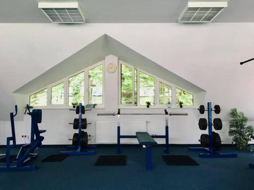 a gym with cardio equipment in a room with windows at Hotel Leśny in Sopot