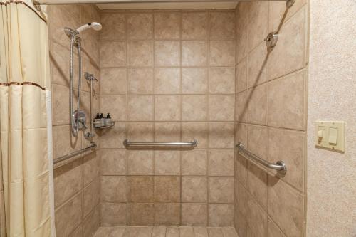 baño con ducha y puerta de cristal en Cozy Pet-Friendly King Studio in Mt, Crested Butte condo, en Crested Butte