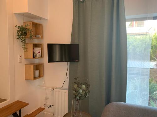 TV a/nebo společenská místnost v ubytování Schöne Wohnung mit eigenem Eingang und Gartenblick