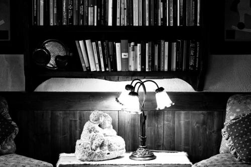 a lamp sitting on a table next to a book shelf at Hotel Du Grand Paradis - 1899 Auberge Boutique in Cogne