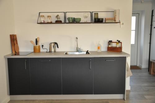una cocina con armarios negros y fregadero en Kærgaard en Roskilde