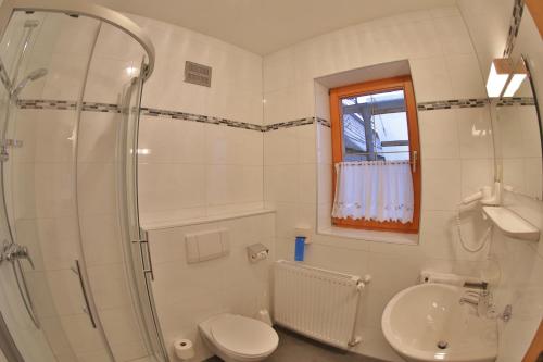 a bathroom with a shower and a toilet and a sink at Pension Edlinger in Sankt Georgen ob Murau