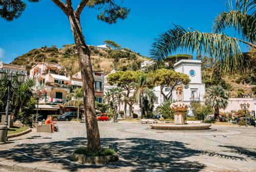 een stadsplein met een palmboom en een gebouw bij Lily's Home in Ischia