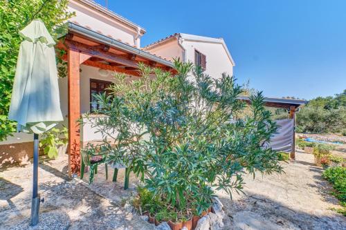 Κήπος έξω από το Eco Secluded apartments Zabodarski