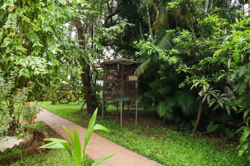 Jardin de l'établissement Sanidhya Beach Resort & Spa