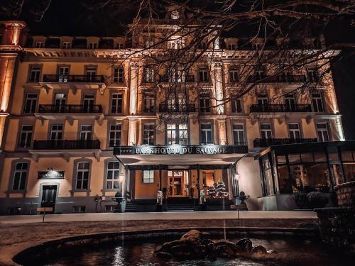 a building with a pond in front of it at night at Parkhotel du Sauvage in Meiringen