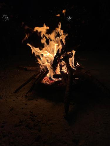 a campfire is burning in the dirt at night at Rustic wood house - A village home stay in Jibhi Valley in Jibhi