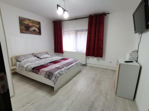a bedroom with a bed and a television in it at Mario Apartament regim hotelier in Reşiţa