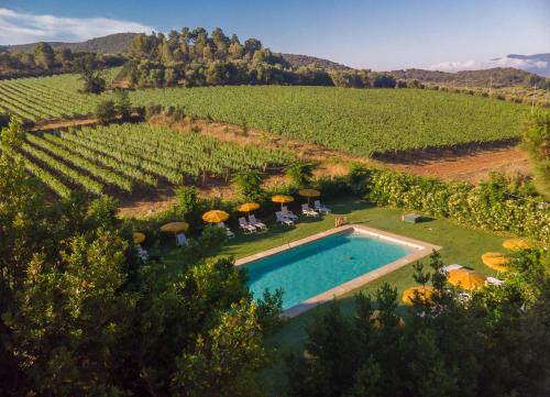 Vista sulla piscina di Antica Fattoria La Parrina o su una piscina nei dintorni