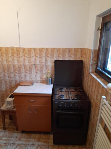 Il comprend une petite cuisine équipée d'une cuisinière et d'un comptoir. dans l'établissement Casuta Maria Alexandra, à Călimăneşti