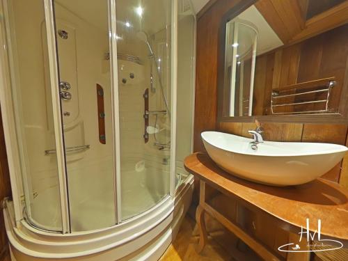 a bathroom with a sink and a shower at La demeure des tisserands in La Bresse