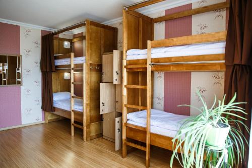 two bunk beds in a room with a potted plant at Sweet Home Hostel in Chernivtsi