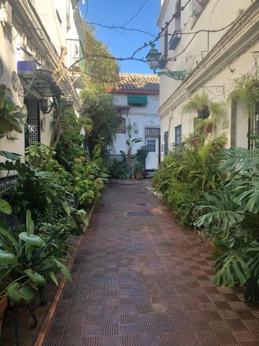 Foto Charming House in Triana,best City View from Patio 6
