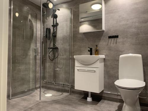 シェレフテオにあるHotel B&B Grändenのシャワー、洗面台、トイレ付きのバスルーム