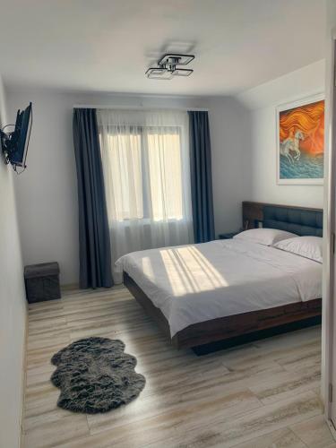 a bedroom with a bed and a rug on the floor at Pensiunea K9 in Răchiţele