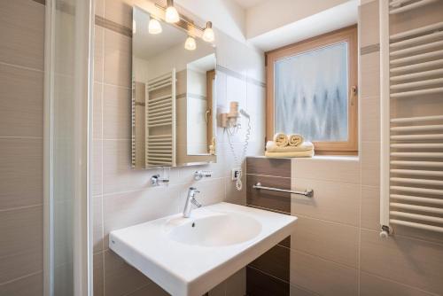 a bathroom with a sink and a mirror at Runcac Apt Salt in San Vigilio Di Marebbe