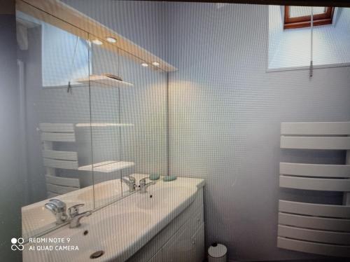 La salle de bains est pourvue d'un lavabo et d'un miroir. dans l'établissement Agréable T2 avec petite cour privative, à La Bourboule
