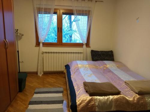 1 dormitorio con cama y ventana en Apartman sa garažom i internetom, en Sarajevo