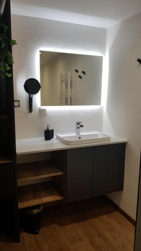 uma casa de banho com um lavatório e um espelho em Lovely Green Lodge parking GRATUIT em Ribeauvillé