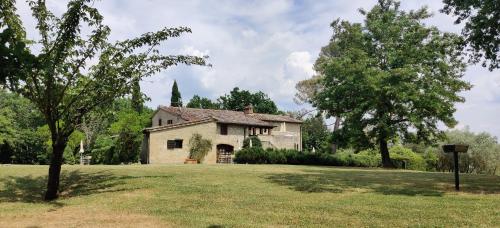 an old house in a field with a tree at Fattoria Agriturismo Nerbona in Casole dʼElsa