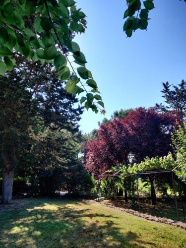 a garden with a gazebo and some trees at Fattoria Agriturismo Nerbona in Casole dʼElsa
