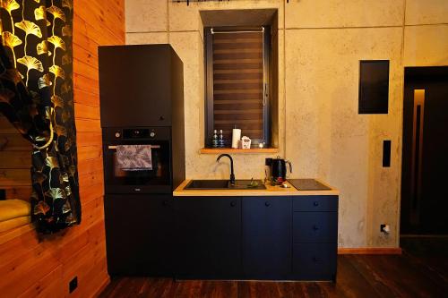 a kitchen with a sink and a stove at Apartament Piorun in Mrągowo